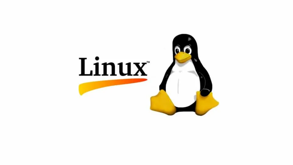 Linux 常用命令